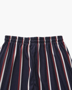 Men's Striped Swim Briefs with Drawstring Waistband